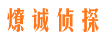 社旗市调查取证